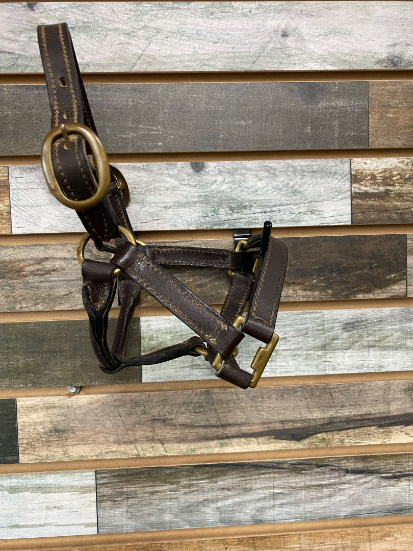 USED  Leather Halter Miniature Horse Brown