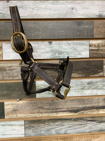 USED  Leather Halter Miniature Horse Brown