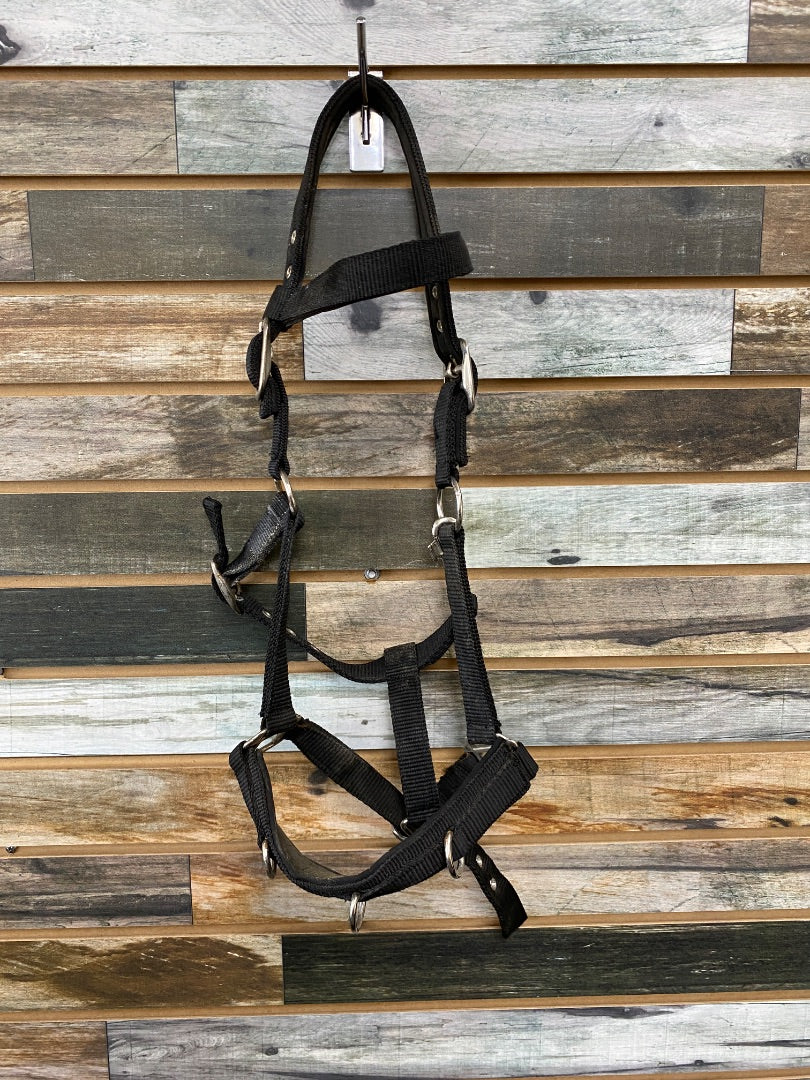 USED  Lunging Cavesson Cob Cob Black