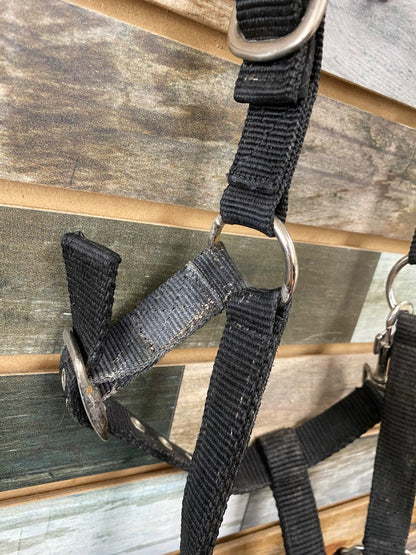 USED  Lunging Cavesson Cob Cob Black