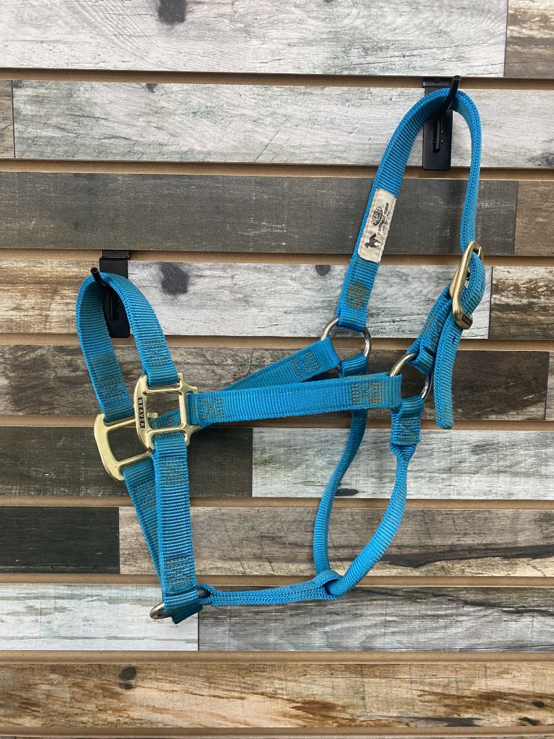 USED Weaver Nylon Halter Average Teal
