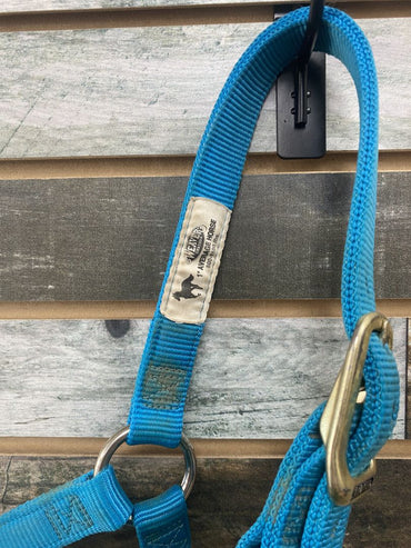 USED Weaver Nylon Halter Average Teal