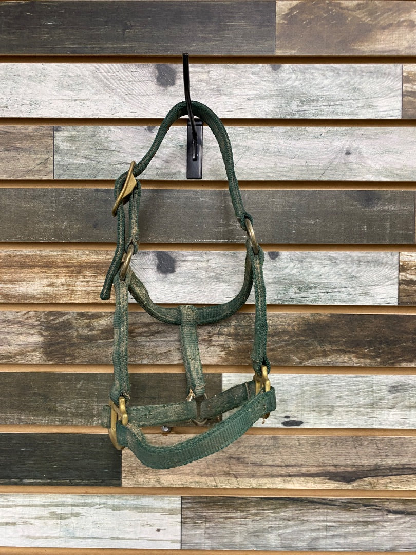 USED Hamilton Nylon Halter Pony Green
