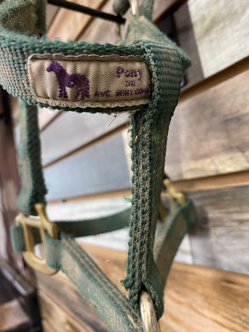 USED Hamilton Nylon Halter Pony Green