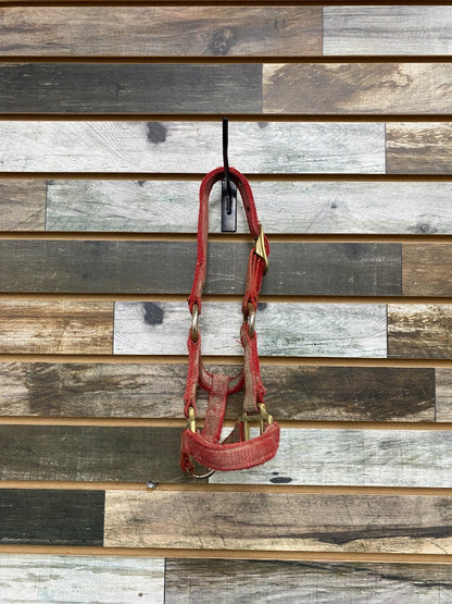 USED Hamilton Nylon Halter Pony Red