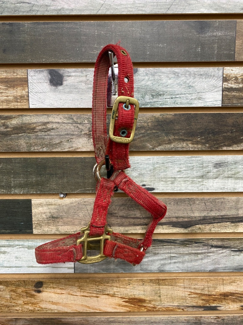 USED Hamilton Nylon Halter Pony Red