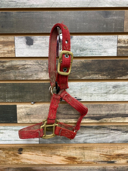 USED Hamilton Nylon Halter Pony Red