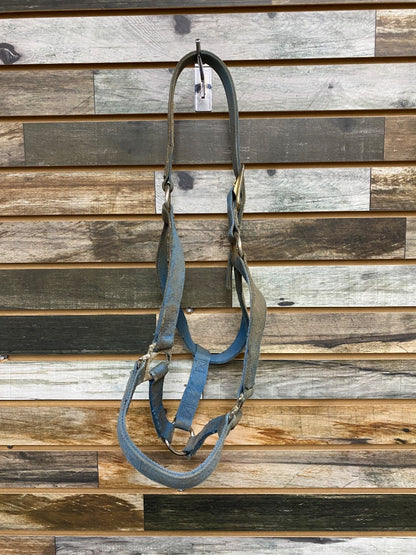 USED Weaver Nylon Halter Large Horse Blue
