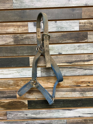USED Weaver Nylon Halter Large Horse Blue