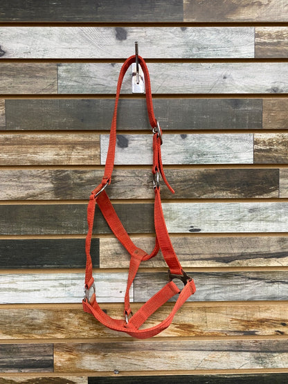 USED  Nylon Halter Horse Red