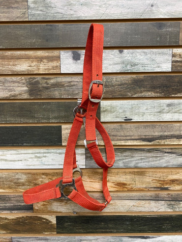 USED  Nylon Halter Horse Red