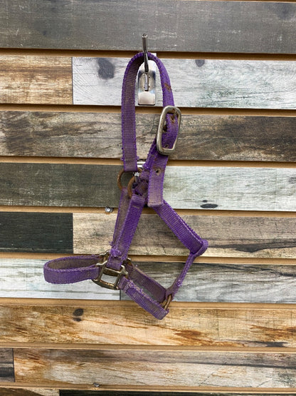 USED  Nylon Halter Pony Purple