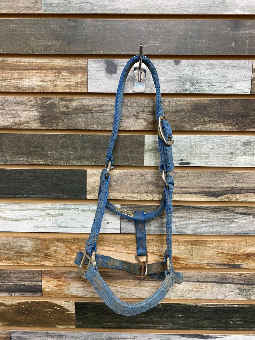 USED Hamilton Nylon Halter Pony Blue