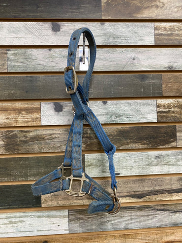 USED Hamilton Nylon Halter Pony Blue