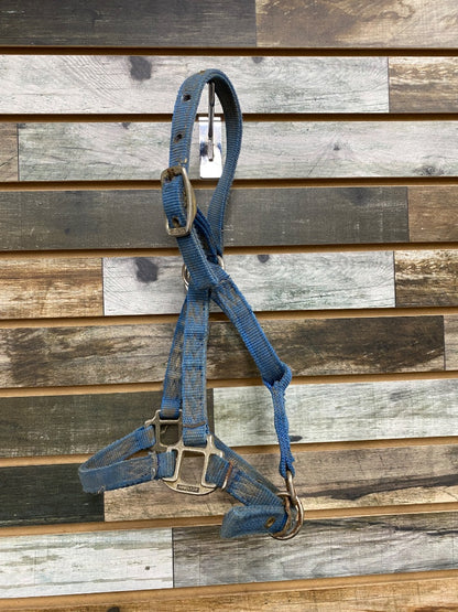 USED Hamilton Nylon Halter Pony Blue