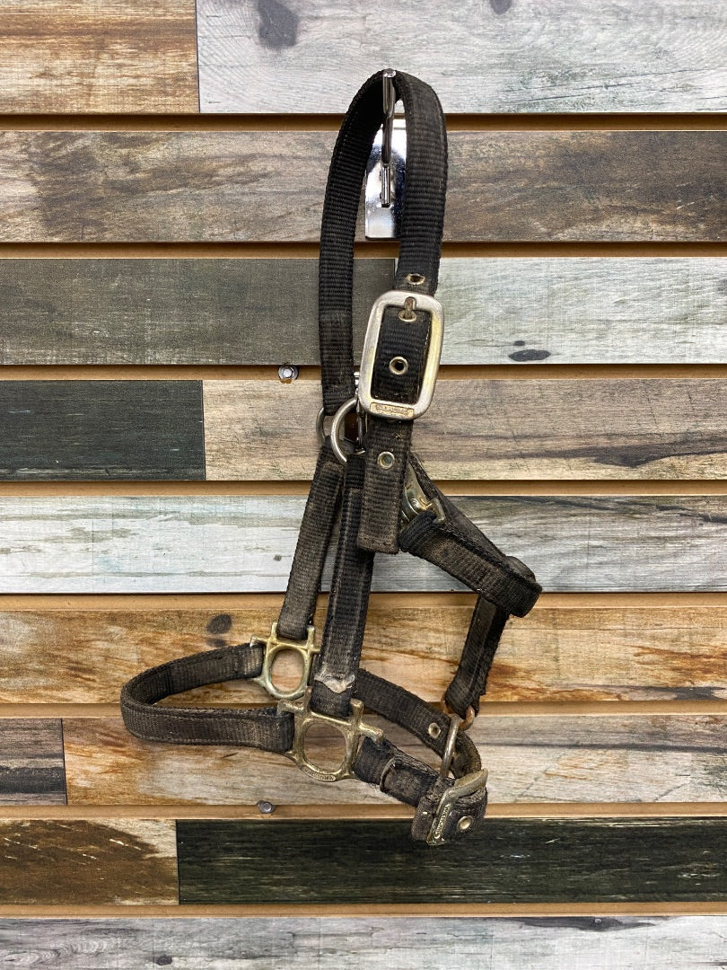 USED Valhoma Nylon Halter Pony Black