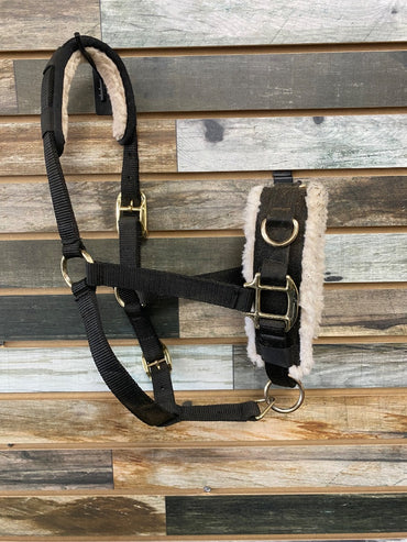 USED Shires Lunging Cavesson Cob Cob Black