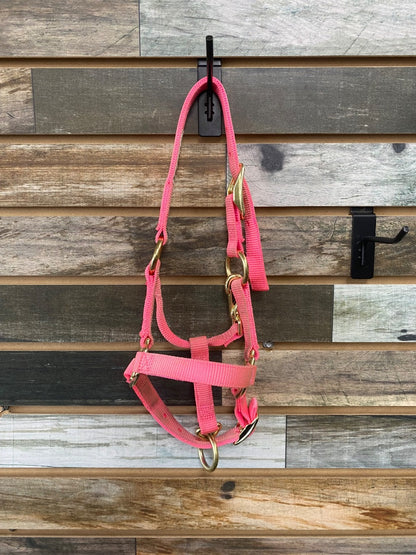 USED  Nylon Halter Foal Hot Pink