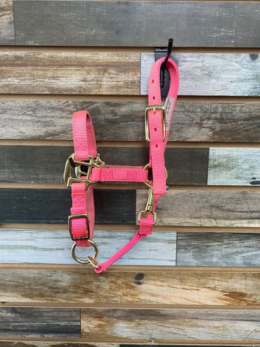 USED  Nylon Halter Foal Hot Pink
