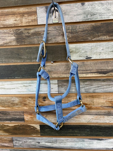 USED Weaver Nylon Halter Yearling Light Blue