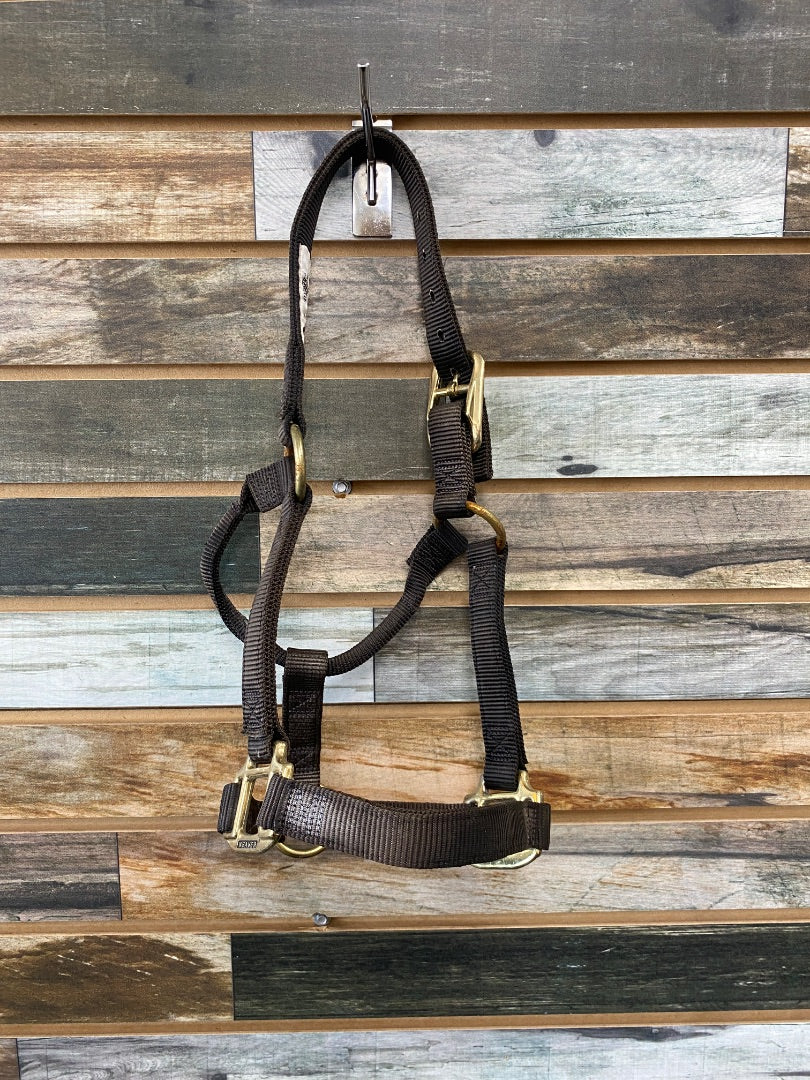 USED Weaver Nylon Halter Yearling Black