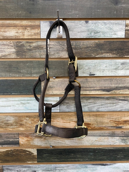 USED Weaver Nylon Halter Yearling Black