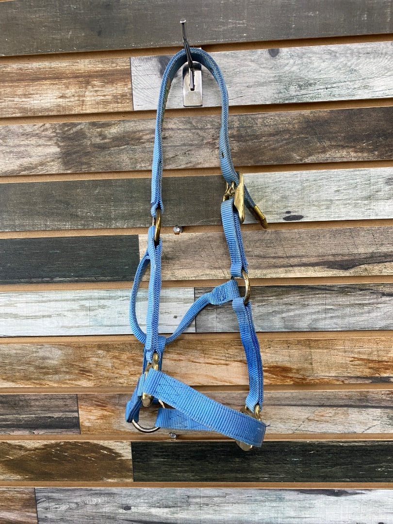 USED Hamilton Nylon Halter Yearling Light Blue