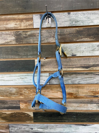 USED Hamilton Nylon Halter Yearling Light Blue