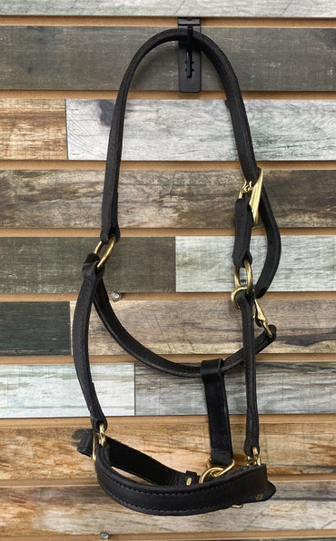 USED  Leather Halter Cob Dark Oil
