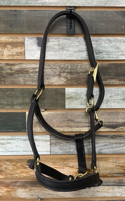 USED  Leather Halter Cob Dark Oil