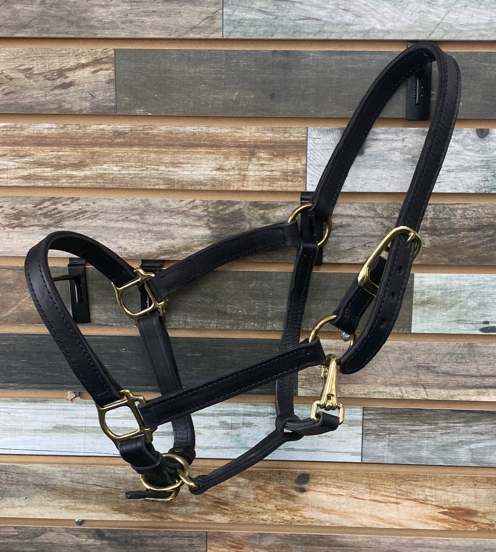 USED  Leather Halter Cob Dark Oil