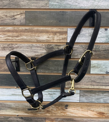 USED  Leather Halter Cob Dark Oil