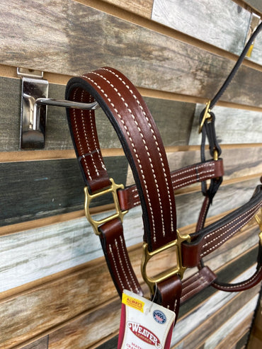 USED Weaver NWT Dark Oil Leather Halter Horse Dark Oil