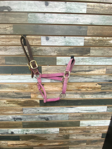 USED Weaver Halter Nylon Breakaway Large Pink