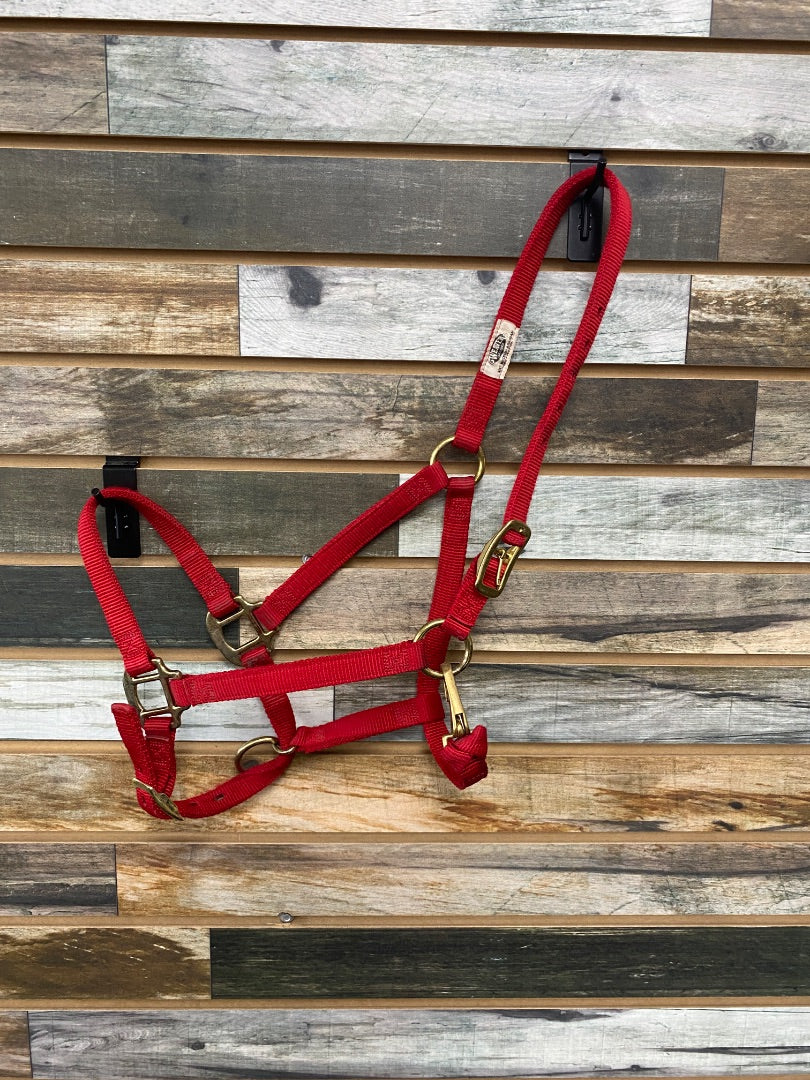 USED Weaver Nylon Halter Medium Red