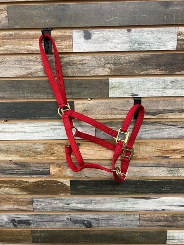 USED Weaver Nylon Halter Medium Red