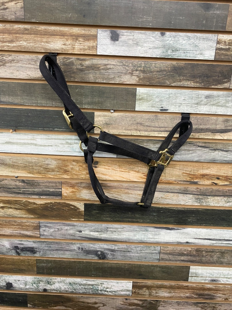 USED Weaver Nylon Halter Average Black