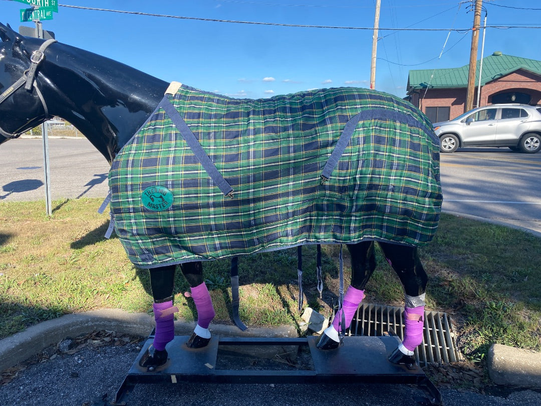 USED Light Weight Turnout 77"