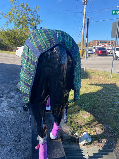 USED Light Weight Turnout 77"