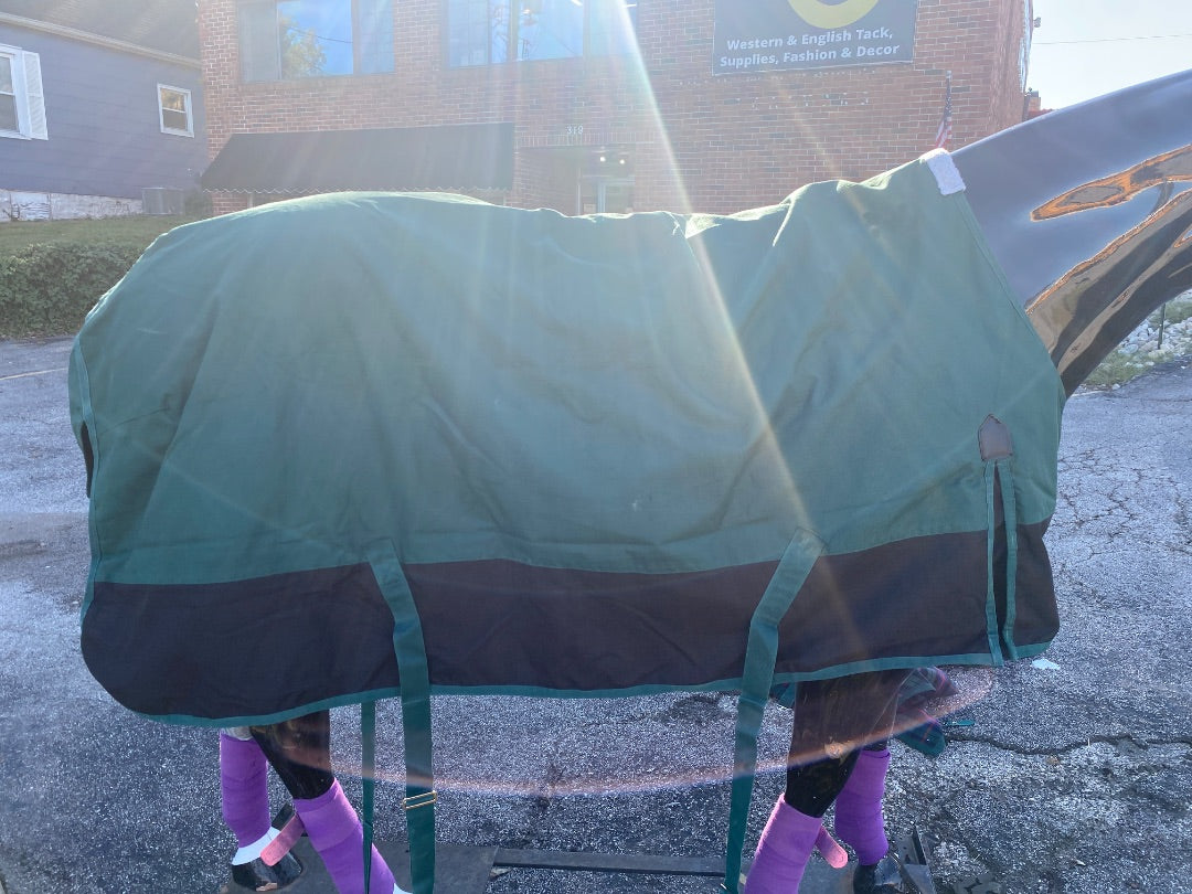 USED Saxon Heavy Weight Blanket 84"
