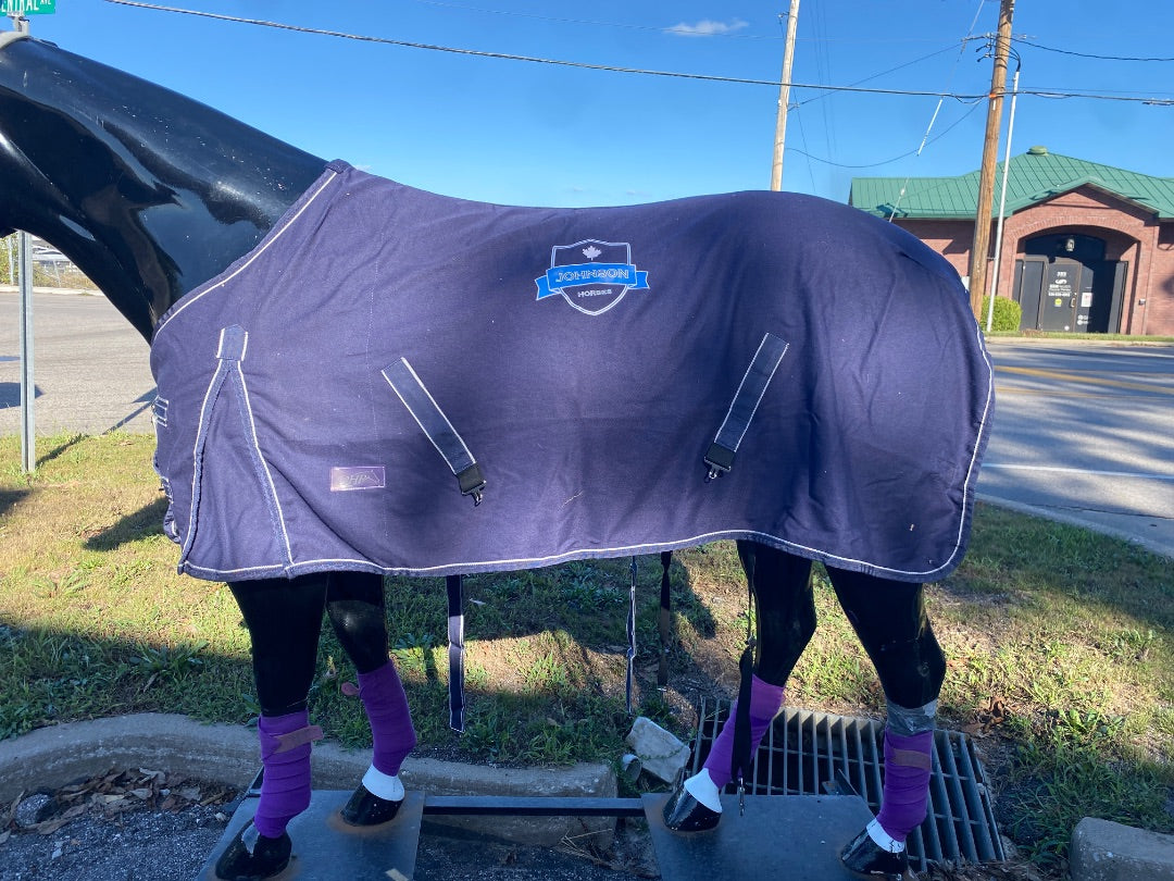 USED OHP Johnson's Horses Stable Sheet 76"
