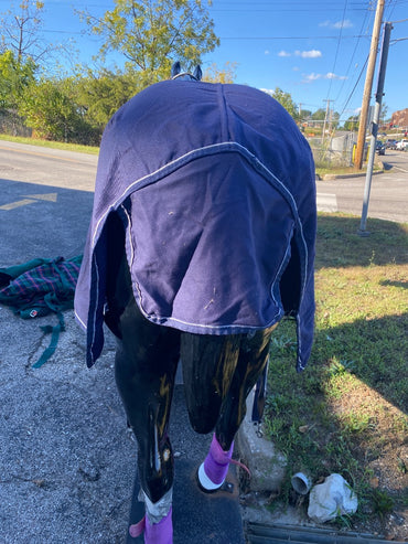 USED OHP Johnson's Horses Stable Sheet 76"