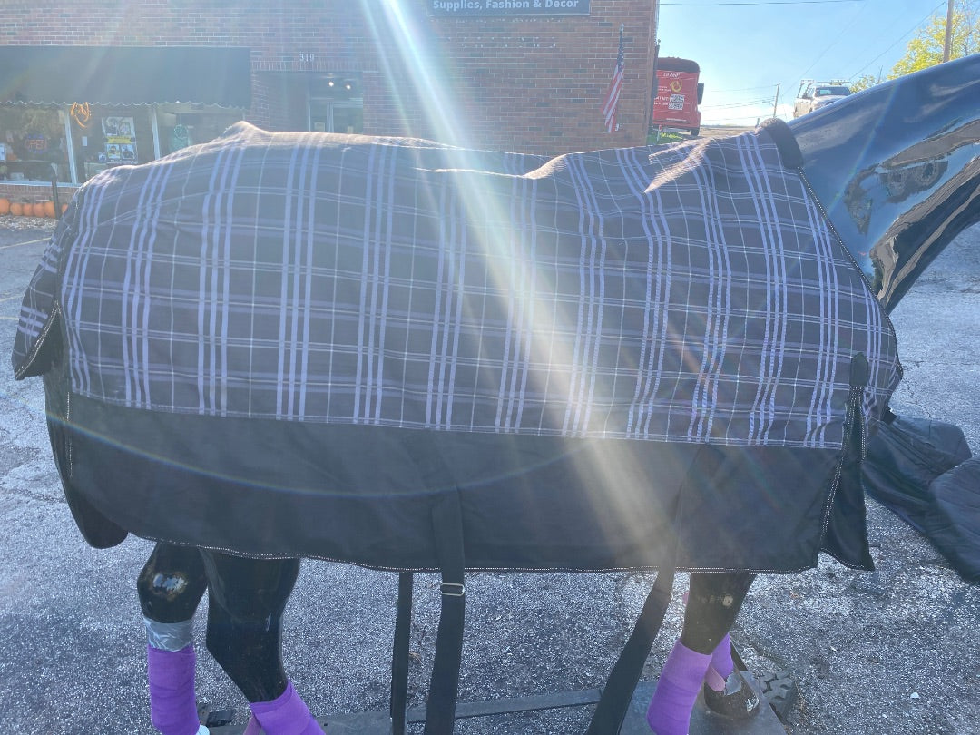 USED Riders International 200g Fill Blanket 76"