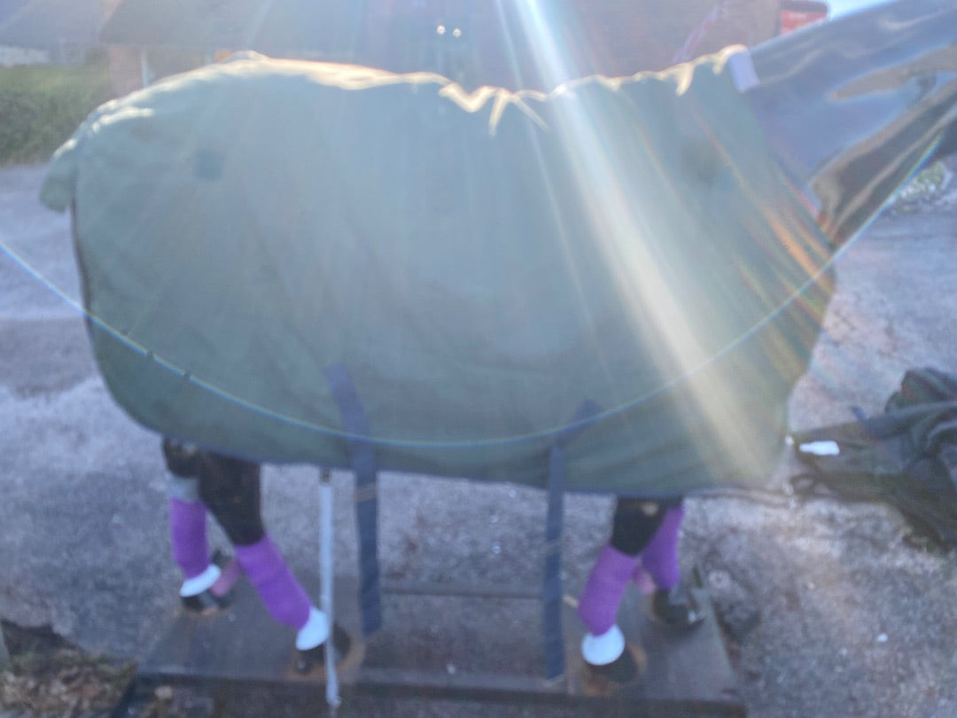 USED Dover Saddlery Turnout (Not Waterproof)  Green and Navy