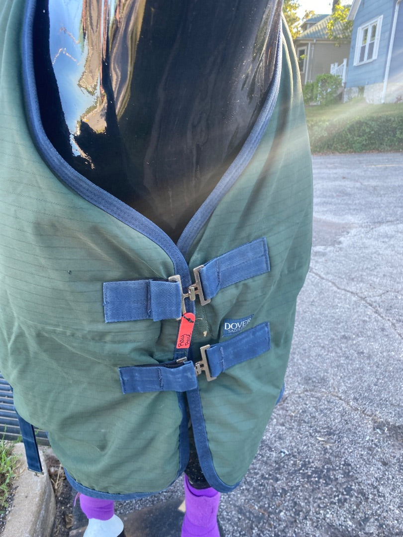 USED Dover Saddlery Turnout (Not Waterproof)  Green and Navy