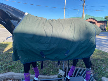 USED Dover Saddlery Turnout (Not Waterproof)  Green and Navy