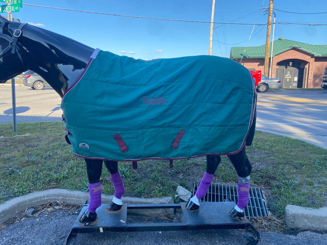 USED SmartPak Turnout Sheet 72"