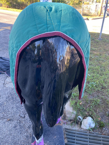 USED SmartPak Turnout Sheet 72"