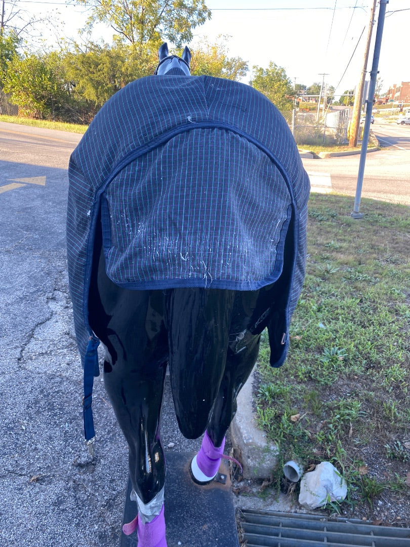USED Horseware Ireland Medium Weight Blanket 72"