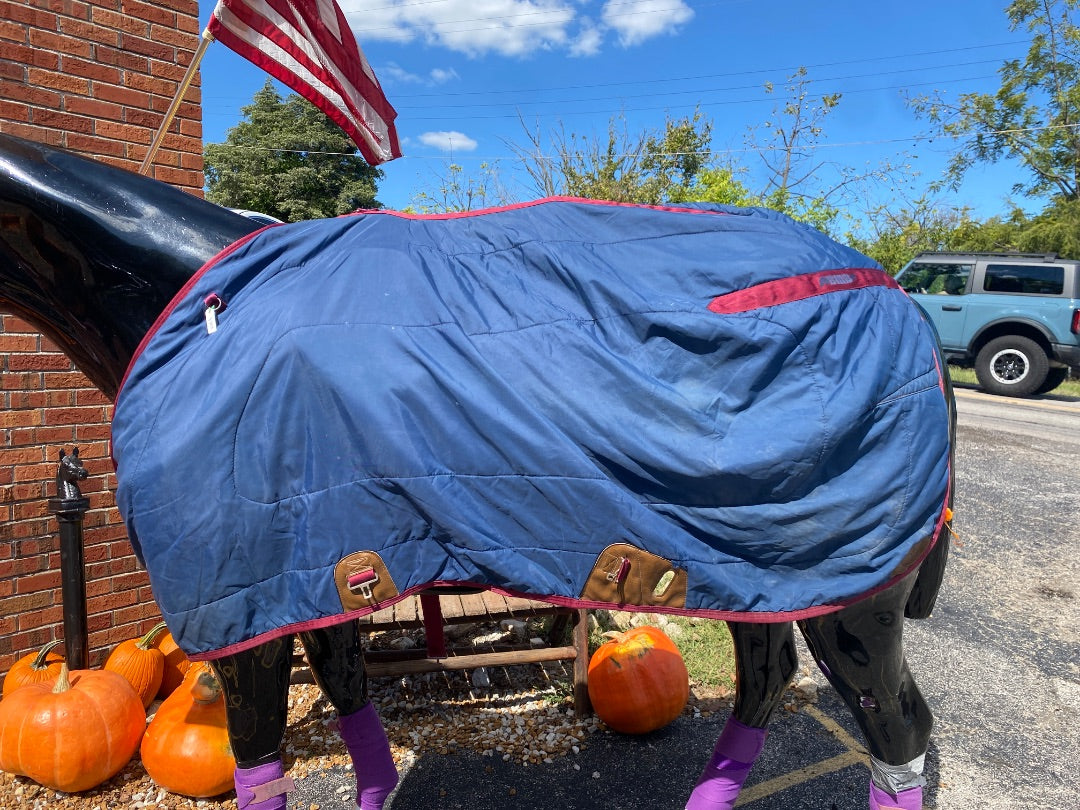 USED Blanket Liner 80"